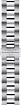 Часы мужские Tissot T127.407.11.041.00