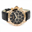 Часы мужские Hugo Boss HB1513179