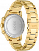 Часы мужские Hugo Boss HB1513923