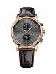 Часы мужские Hugo Boss HB1513281