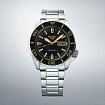 Часы мужские Seiko SRPK99K1