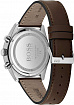 Часы мужские Hugo Boss HB1513815