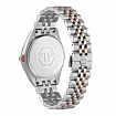 Часы мужские Philipp Plein PWPVA0524
