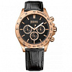 Часы мужские Hugo Boss HB1513179