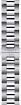 Часы мужские Tissot  T127.410.11.051.00
